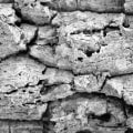 Is Concrete Cancer Dangerous? - An Expert's Perspective